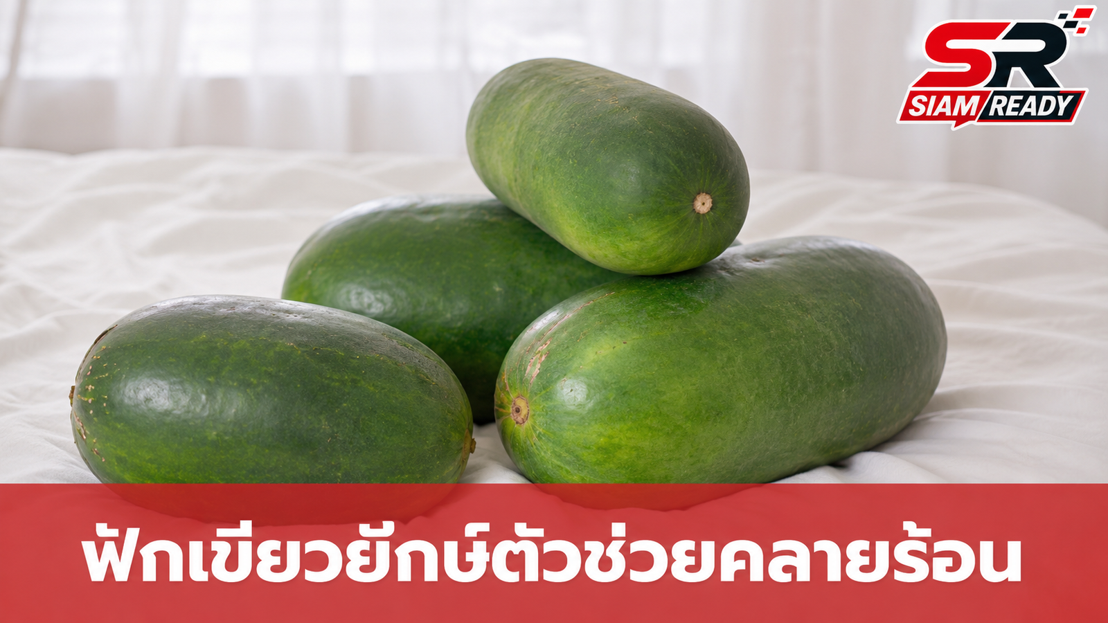 เปิดเคล็ดลับคลายร้อนฉบับคนจีน นำ 'ฟักเขียวยักษ์' มาเป็นตัวช่วยกอดดับร้อน