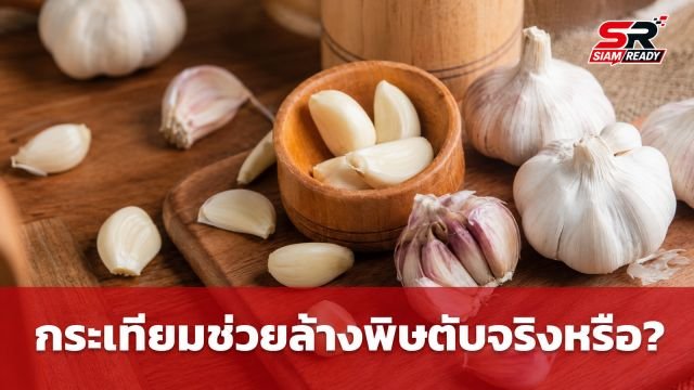 ไขข้อข้องใจ 'กระเทียมสด' ช่วยล้างพิษตับได้จริงหรือ? ส่องคำเตือนจากผู้เชี่ยวชาญ