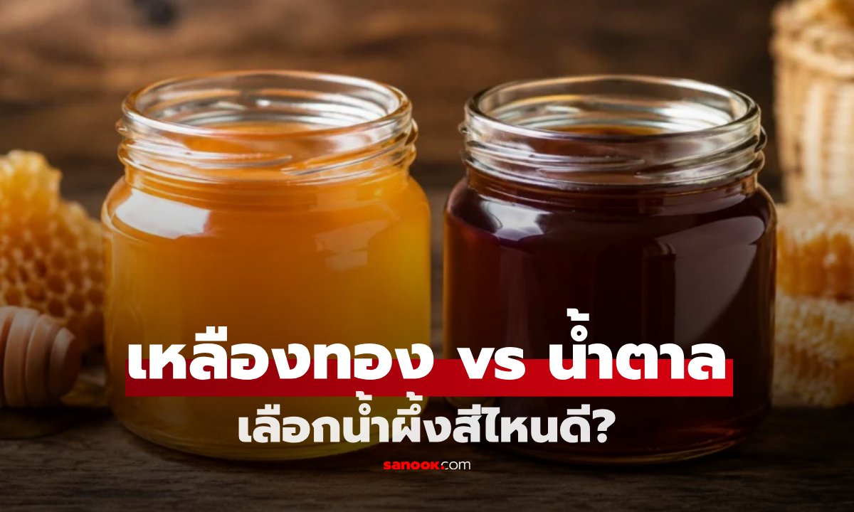 เจาะลึกความต่างของสีน้ำผึ้ง: สีไหนอร่อยกว่ากัน? ไขข้อข้องใจเรื่องโภชนาการและธรรมชาติของน้ำผึ้ง