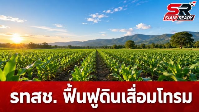 รทสช. เดินหน้าแผนฟื้นฟูดินเสื่อมโทรม หวังพลิกฟื้นวิกฤตภาคเกษตรไทย