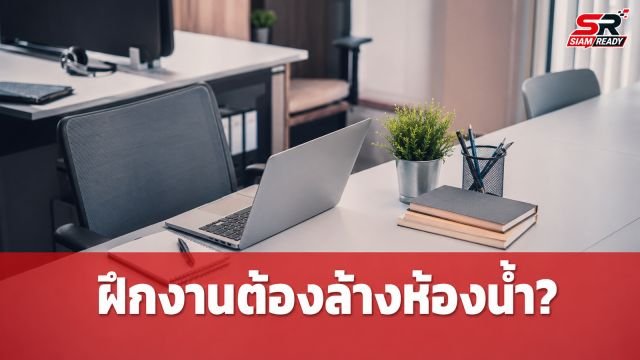 ดราม่าฝึกงาน! สาวเผยถูกสั่งล้างห้องน้ำ อ้างบริษัทเล็กต้องช่วยกัน