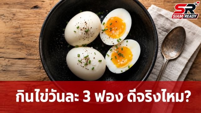 เจาะลึกกินไข่วันละ 3 ฟอง ดีต่อสุขภาพจริงหรือแค่ความเชื่อ?
