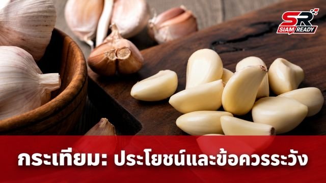 เจาะลึกสรรพคุณ 'กระเทียม' ยาอายุวัฒนะที่ไม่ได้เหมาะกับทุกคน
