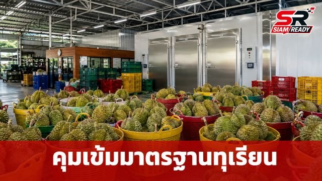 คุมเข้มมาตรฐานทุเรียนไทย สั่งอายัดทุเรียนแช่เยือกแข็งกว่า 2.8 ตัน