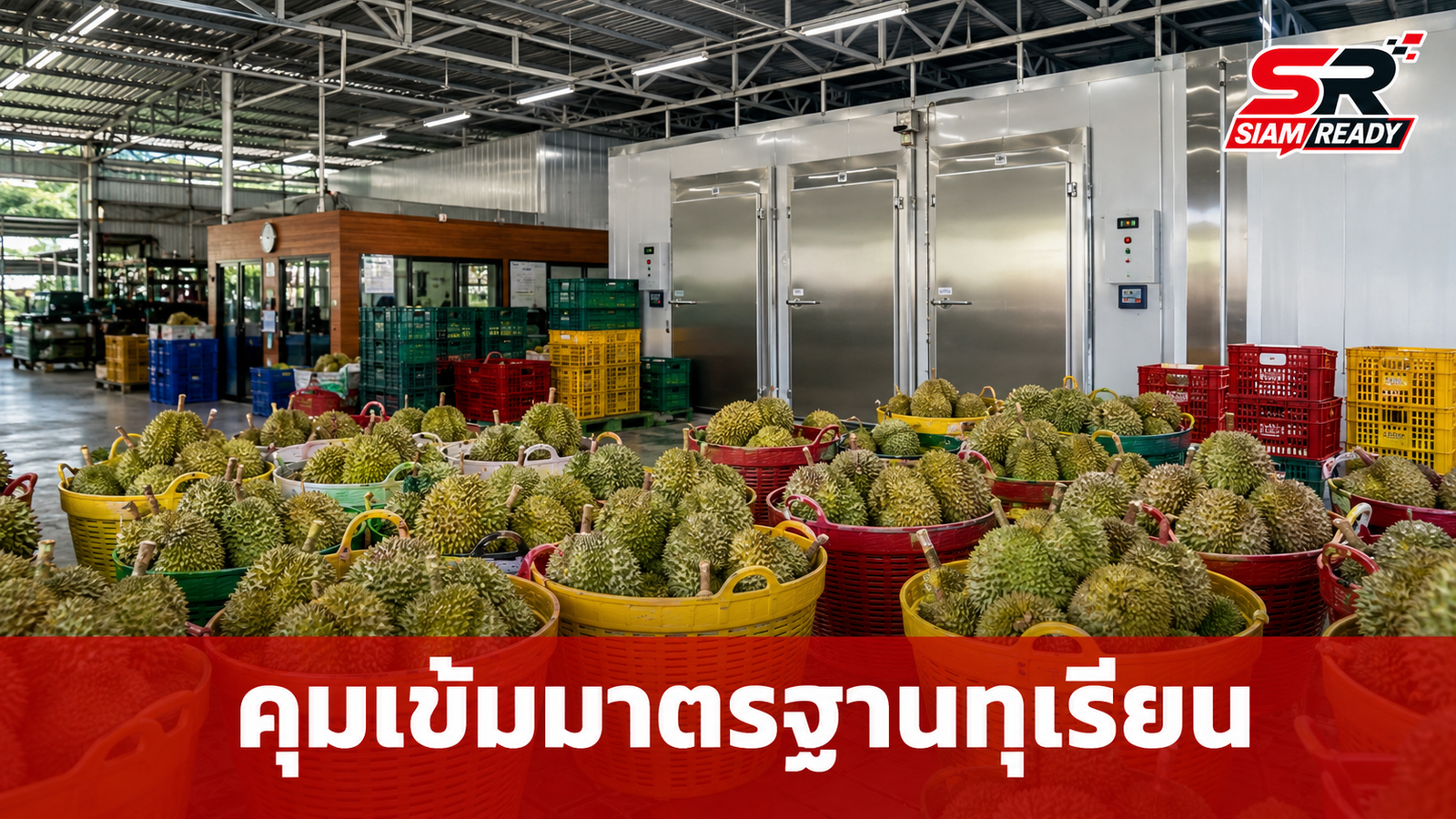 คุมเข้มมาตรฐานทุเรียนไทย สั่งอายัดทุเรียนแช่เยือกแข็งกว่า 2.8 ตัน