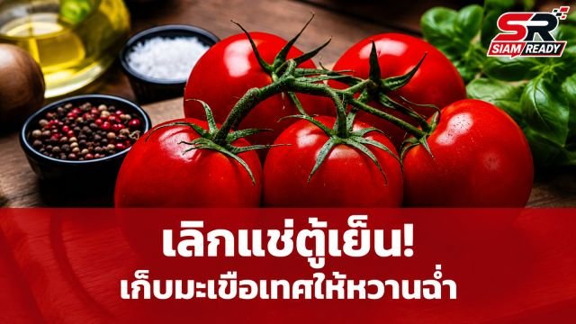 เลิกแช่ตู้เย็น! เผยเคล็ดลับเก็บ 'มะเขือเทศ' ให้คงความหวานฉ่ำ ไม่จืดชืด