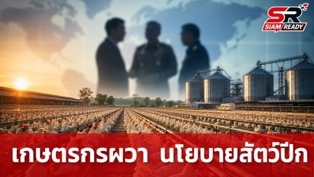 เกษตรกรผวา! นโยบายนำเข้าสัตว์ปีกจากจีน จับตาบทบาท 'สุริยะ' พร้อมตั้งคำถามถึงบิ๊กข้าราชการ