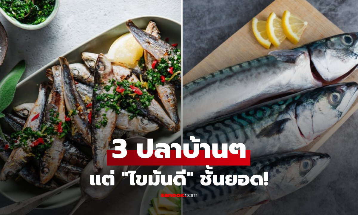 เปิดลิสต์ 3 ปลาราคาประหยัด แหล่งโอเมก้า 3 ชั้นยอด คุณภาพเทียบชั้นแซลมอน