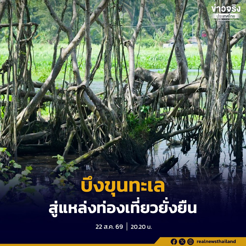 สุราษฎร์ธานีเร่งเครื่องดัน 'บึงขุนทะเล' พัฒนาสู่แหล่งท่องเที่ยวคุณภาพและยั่งยืน