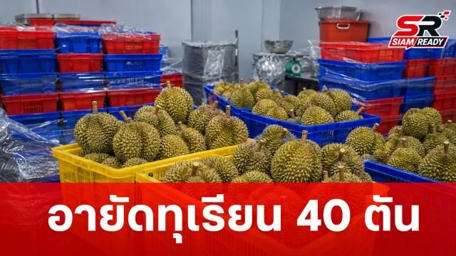 มกอช. ลุยปราบสินค้าเกษตรไม่ได้มาตรฐาน อายัดทุเรียนกว่า 40 ตัน มูลค่า 9 ล้านบาท