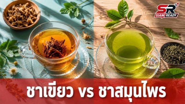เจาะลึกศึกน้ำสุขภาพ: ชาเขียว vs ชาสมุนไพร เลือกดื่มแบบไหนให้ได้ประโยชน์สูงสุด?