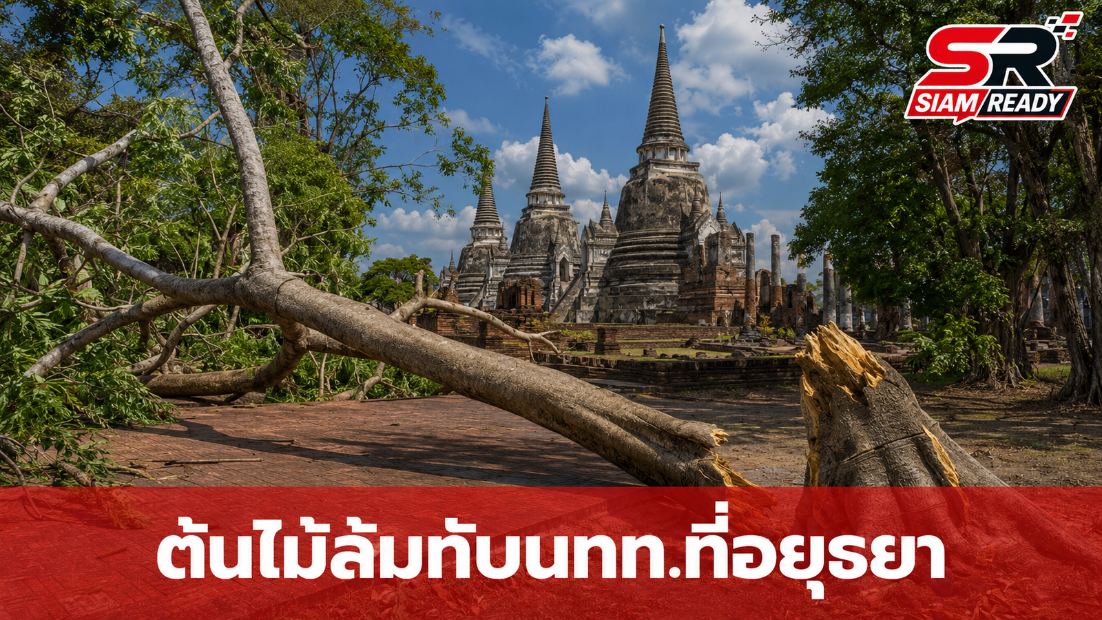 ระทึก! ต้นไม้ใหญ่หักโค่นทับนักท่องเที่ยวชาวสเปนกลางวัดพระศรีสรรเพชญ์ บาดเจ็บ 4 ราย
