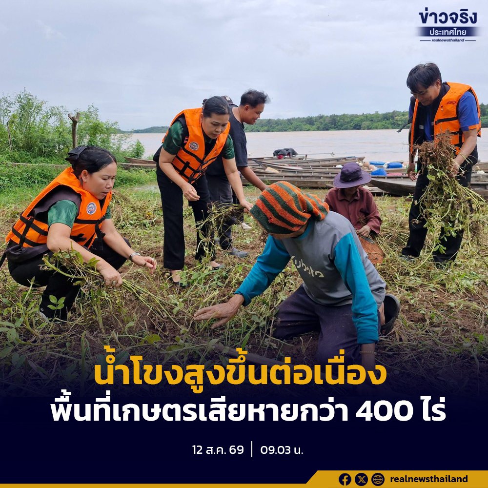 เกษตรจังหวัดอุบลฯ เร่งลงพื้นที่เยียวยาเกษตรกร หลังน้ำโขงหนุนสูงทำนาเสียหายกว่า 400 ไร่