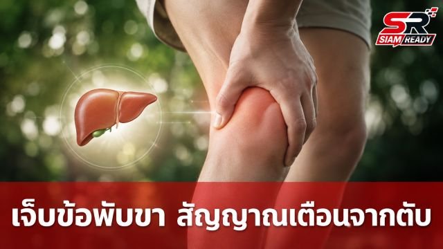 เจ็บข้อพับขา สัญญาณเตือนจาก 'ตับ' ที่คุณอาจมองข้าม