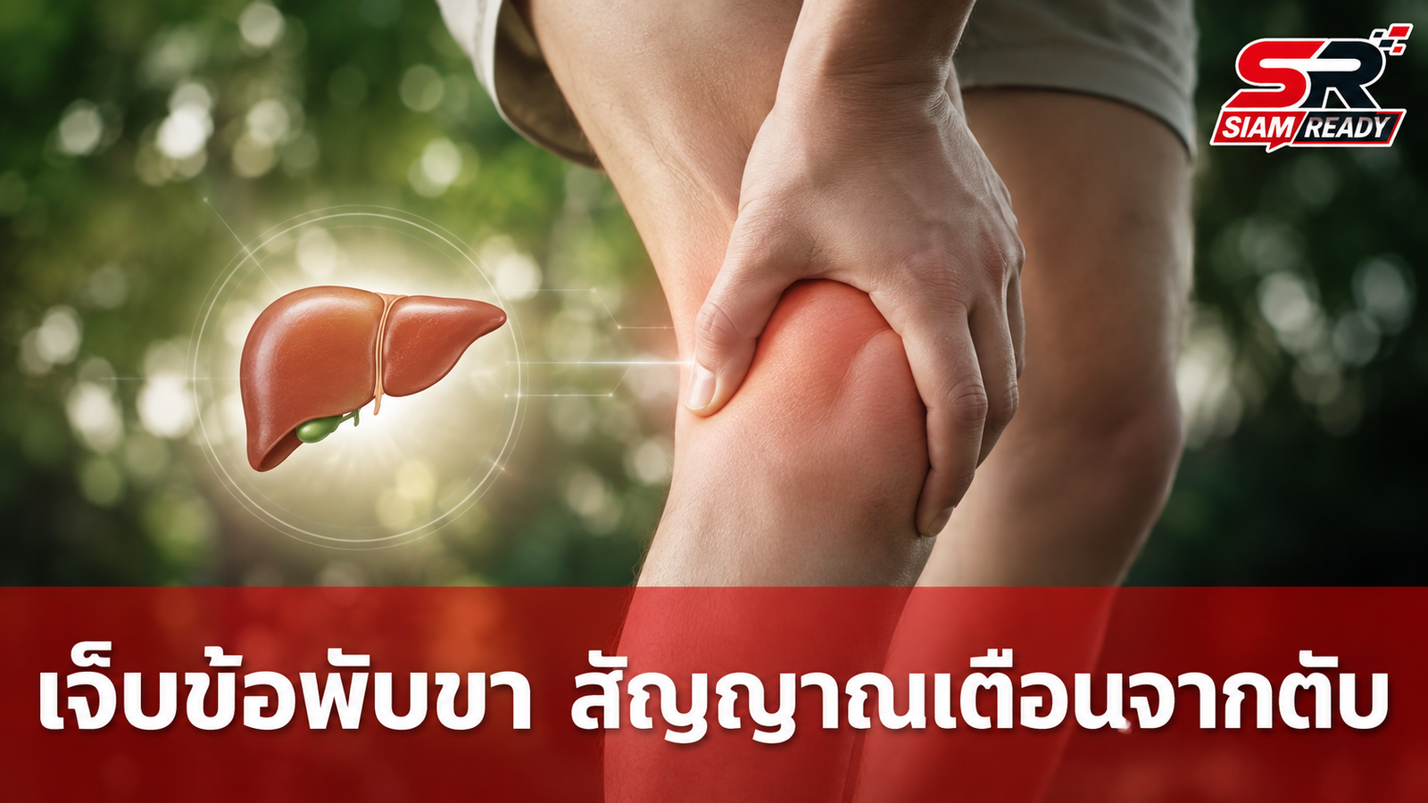 เจ็บข้อพับขา สัญญาณเตือนจาก 'ตับ' ที่คุณอาจมองข้าม