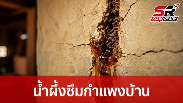 หนุ่มกรุงผงะ! ของเหลวปริศนาซึมจากกำแพงบ้าน ที่แท้คือ 'ทองคำเหลว' มูลค่ามหาศาล