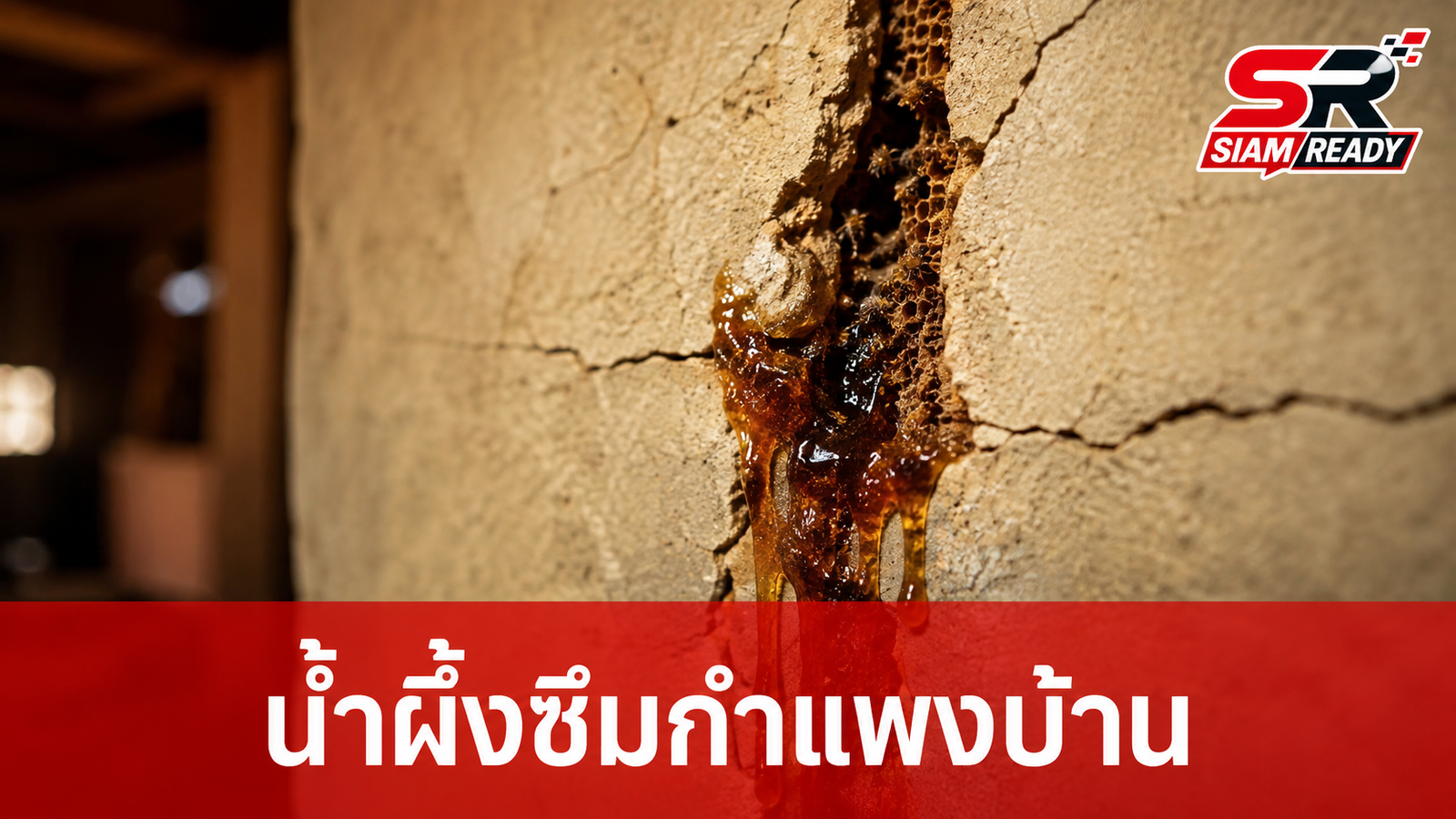 หนุ่มกรุงผงะ! ของเหลวปริศนาซึมจากกำแพงบ้าน ที่แท้คือ 'ทองคำเหลว' มูลค่ามหาศาล