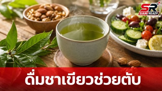 ดื่มชาเขียวช่วยตับ! เคล็ดลับธรรมชาติลดไขมันและต้านอักเสบระดับเซลล์
