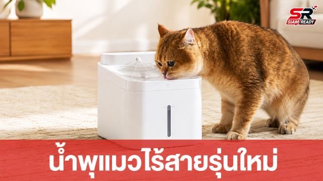 Xiaomi เปิดตัวน้ำพุแมวไร้สาย Mijia Smart Pet Fountain 2 แบตอึด 90 วัน