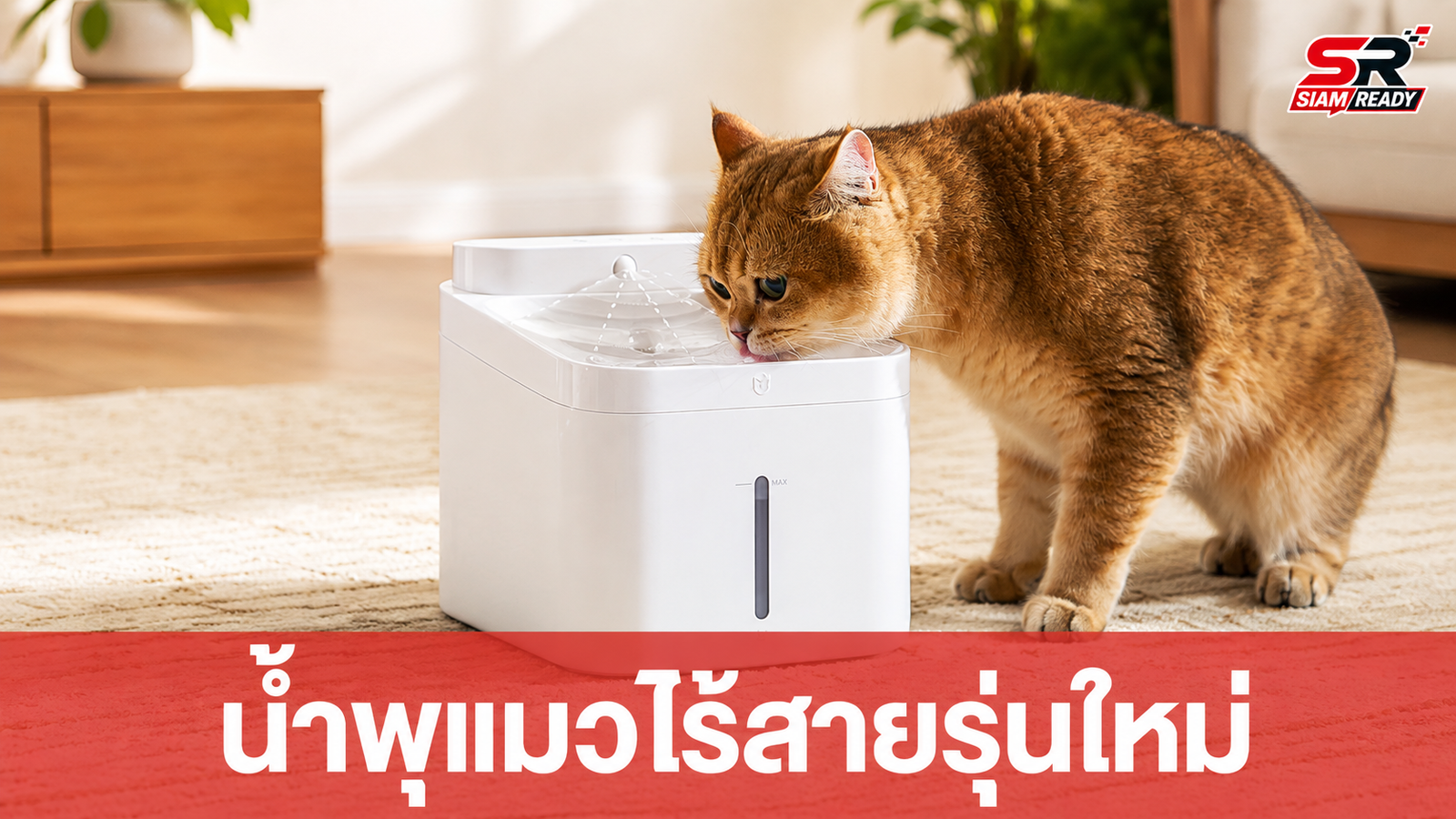 Xiaomi เปิดตัวน้ำพุแมวไร้สาย Mijia Smart Pet Fountain 2 แบตอึด 90 วัน
