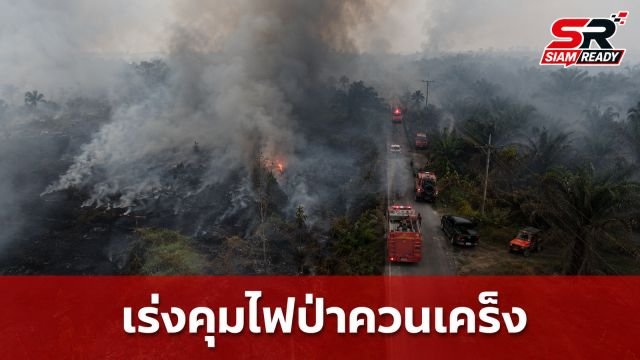 มท.3 สั่งระดมกำลัง ปภ. เร่งสกัดไฟป่าพรุควนเคร็ง จ.นครศรีธรรมราช