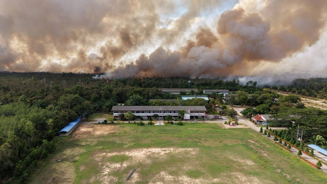 ไฟป่าพรุควนเคร็งเริ่มคลี่คลาย เร่งคุมพื้นที่พบร่องรอยขุดร่องสวนปาล์มปริศนา