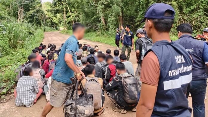 สนธิกำลังปิดล้อมป่าเกริงกระเวีย รวบ 45 แรงงานเมียนมาลักลอบเข้าเมือง