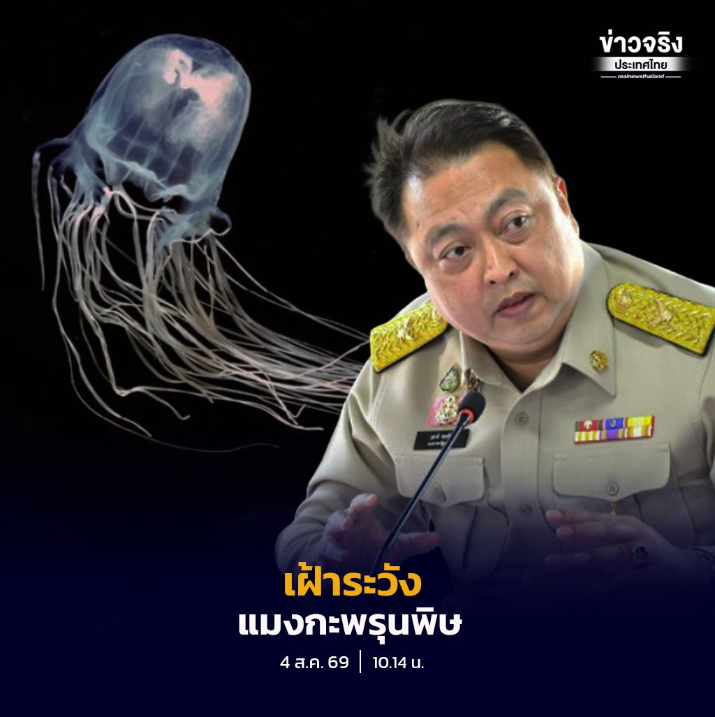 สุชาติ สั่งการกรมทะเลเข้มงวดเฝ้าระวังแมงกะพรุนพิษ ป้องกันอันตรายนักท่องเที่ยว