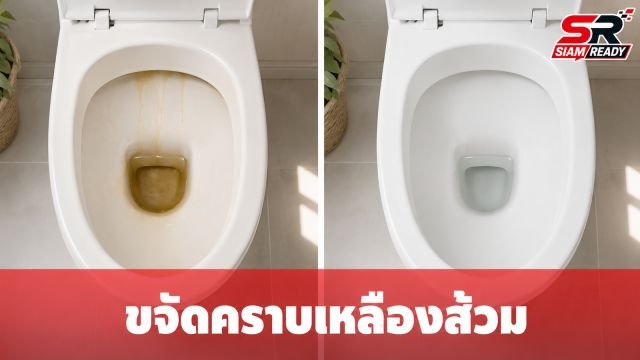 กูรูเผยเคล็ดลับกำจัดคราบเหลืองในโถสุขภัณฑ์ด้วย 'กรดซิตริก' เห็นผลใน 1 ชั่วโมง