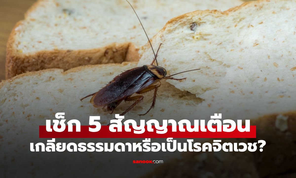 เจาะลึกอาการกลัวแมลงสาบขั้นสุด หมอเตือนเสี่ยงเป็นโรคจิตเวชและอันตรายจากการรักษาแบบหักดิบ