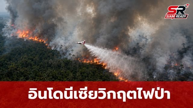 อินโดนีเซียวิกฤต! ไฟป่าลาม 6 จังหวัด ควันพิษทำประชาชนป่วยนับหมื่น