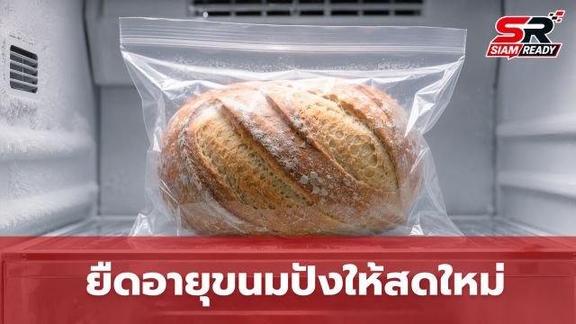 ไขข้อข้องใจเรื่องวันหมดอายุขนมปัง พร้อมเทคนิคยืดอายุการเก็บรักษาให้ยาวนาน