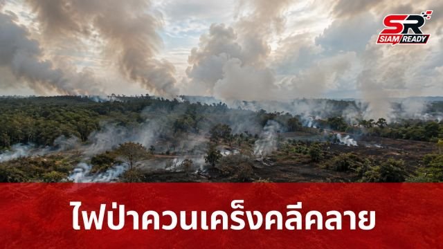 ไฟป่าพรุควนเคร็งเริ่มคลี่คลาย เร่งคุมพื้นที่พบร่องรอยขุดร่องสวนปาล์มปริศนา