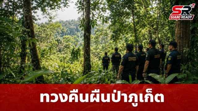 กรมป่าไม้เปิดปฏิบัติการเด็ดขาด 'ทวงคืนผืนป่าภูเก็ต' บุกตรวจ 8 จุดเป้าหมาย