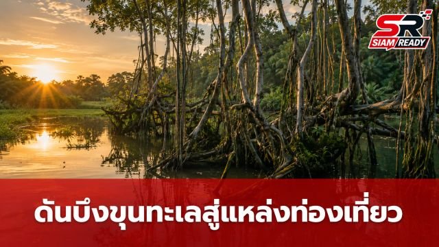 สุราษฎร์ธานีเร่งเครื่องดัน 'บึงขุนทะเล' พัฒนาสู่แหล่งท่องเที่ยวคุณภาพและยั่งยืน