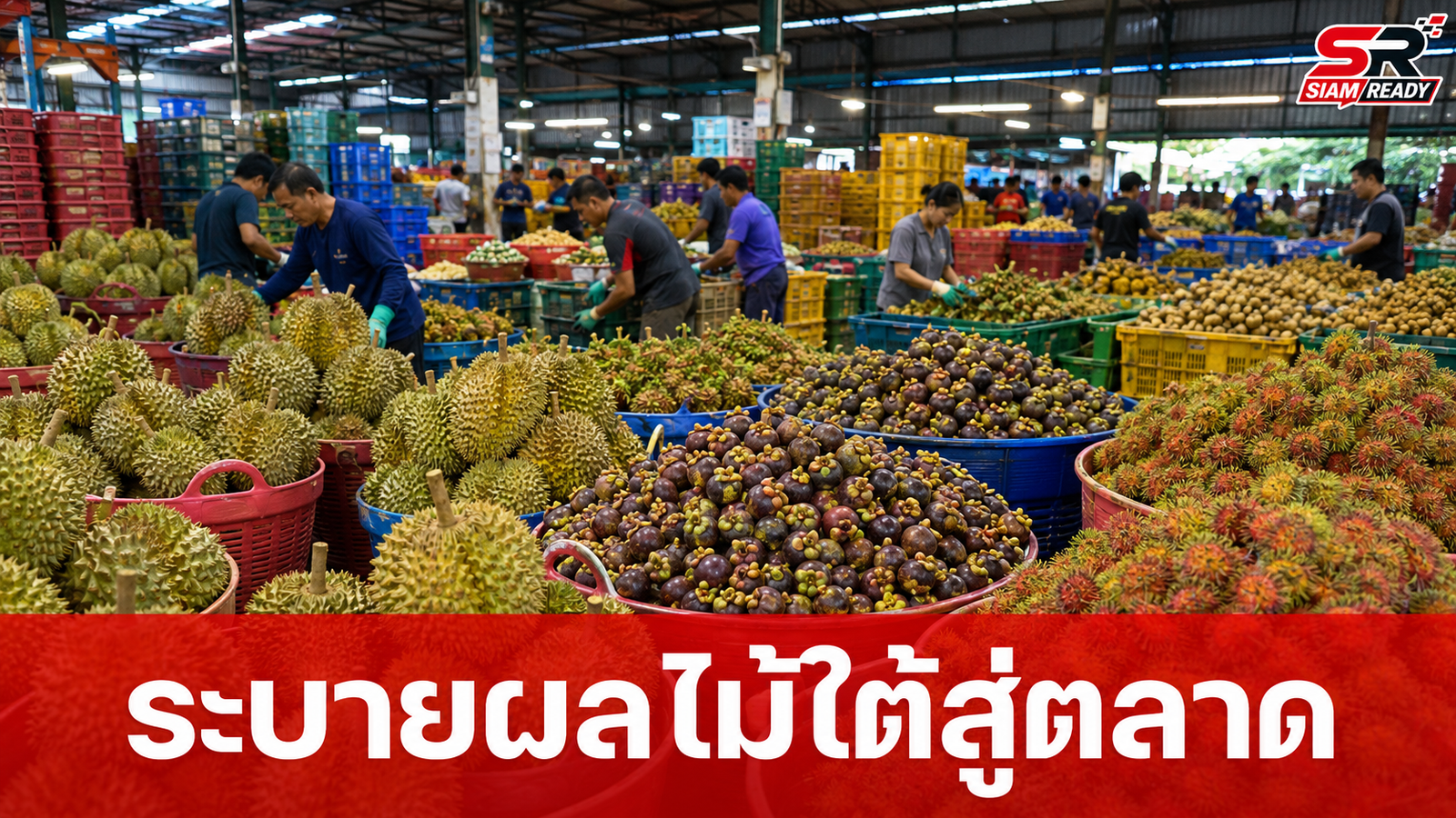 กรมการค้าภายในผนึกกำลัง 'ตลาดมรกต-ตลาดสี่มุมเมือง' เพิ่มช่องทางระบายผลไม้ใต้