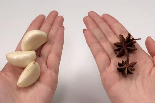 ไขข้อสงสัย! ใส่กระเทียมในถังข้าวสารป้องกันมอดได้จริงหรือแค่ความเชื่อ?