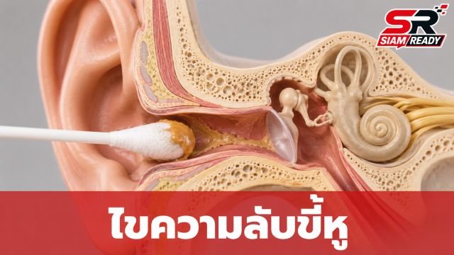 ไขความลับขี้หูแห้ง-เปียก: พันธุกรรมตัวกำหนดกลิ่นตัวที่หลายคนคาดไม่ถึง