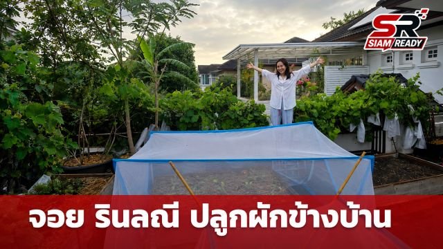 จอย รินลณี เผยเบื้องหลังทำสวนผักออร์แกนิกข้างบ้าน 120 ตร.ว. ไม่ง่ายอย่างที่คิด