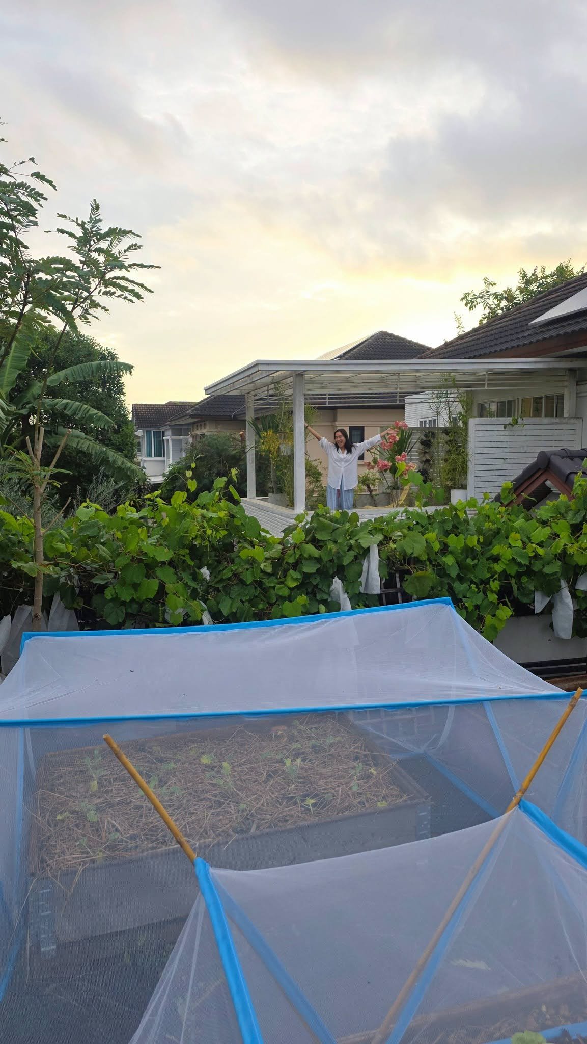 จอย รินลณี เผยเบื้องหลังทำสวนผักออร์แกนิกข้างบ้าน 120 ตร.ว. ไม่ง่ายอย่างที่คิด