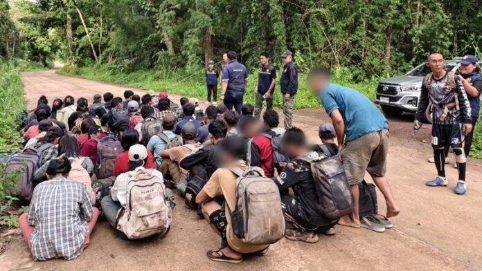สนธิกำลังปิดล้อมป่าเกริงกระเวีย รวบ 45 แรงงานเมียนมาลักลอบเข้าเมือง