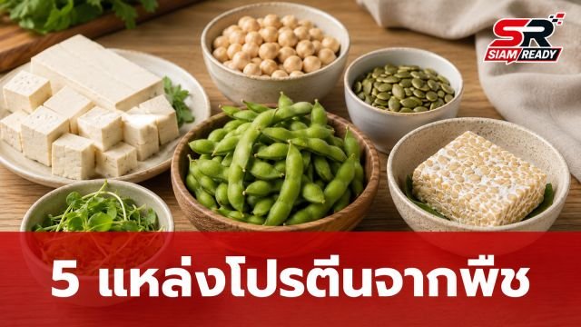 เบื่อไข่แล้วใช่ไหม? เปิด 5 แหล่งโปรตีนจากพืชทางเลือกใหม่ อิ่มครบจบในมื้อเดียว