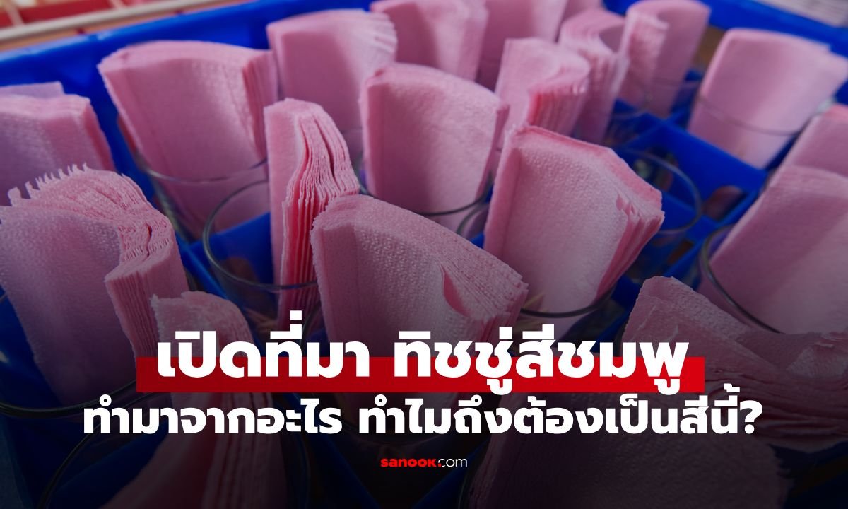 ไขข้อสงสัย! ทำไม 'ทิชชู่สีชมพู' ตามร้านอาหารต้องเป็นสีนี้? เผยความจริงที่หลายคนไม่เคยรู้