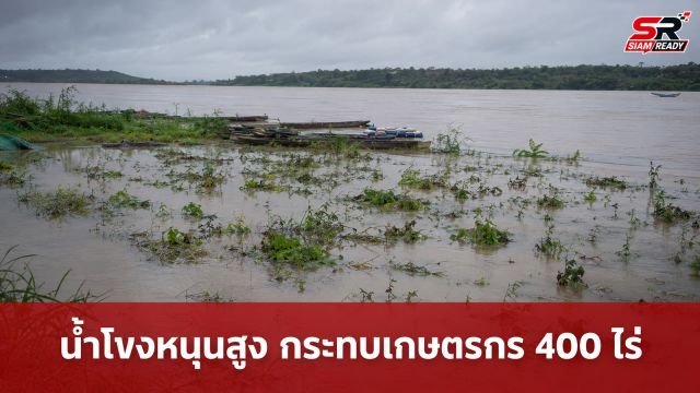 เกษตรจังหวัดอุบลฯ เร่งลงพื้นที่เยียวยาเกษตรกร หลังน้ำโขงหนุนสูงทำนาเสียหายกว่า 400 ไร่