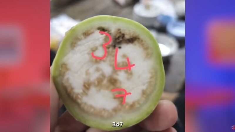 คอหวยแห่ส่องเลขเด็ด 'ป้าแดง-ป้ายอม' ลุ้นโชคใหญ่โค้งสุดท้าย 16 ส.ค. 69
