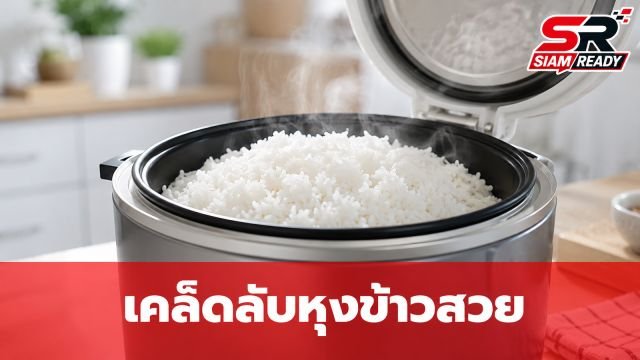 เคล็ดลับหุงข้าวให้นุ่มสวยด้วย 'น้ำมันพืช' เผยวิธีทำง่ายๆ ที่หลายคนมองข้าม