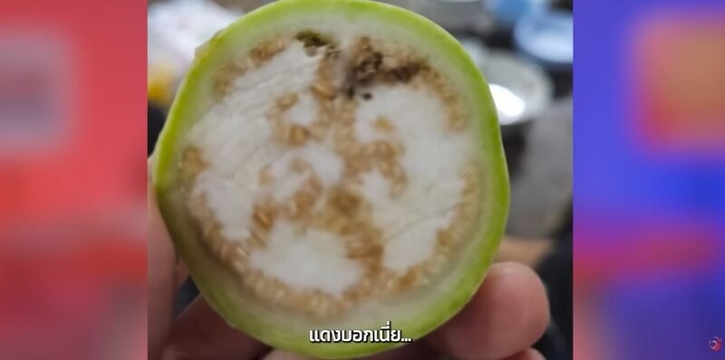 คอหวยแห่ส่องเลขเด็ด 'ป้าแดง-ป้ายอม' ลุ้นโชคใหญ่โค้งสุดท้าย 16 ส.ค. 69