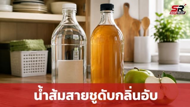 น้ำส้มสายชู vs แอปเปิลไซเดอร์ เลือกใช้อย่างไรให้ดับกลิ่นอับได้อยู่หมัด