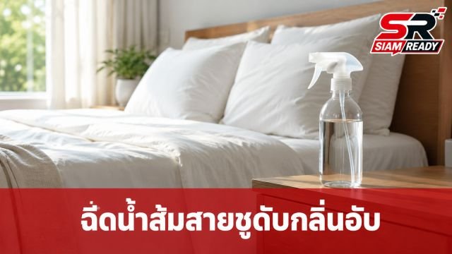 เคล็ดลับรีเฟรชเตียงนอนด้วยน้ำส้มสายชู ตัวช่วยลดกลิ่นอับฉบับประหยัด