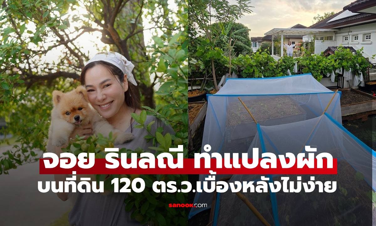 จอย รินลณี เผยเบื้องหลังทำสวนผักออร์แกนิกข้างบ้าน 120 ตร.ว. ไม่ง่ายอย่างที่คิด